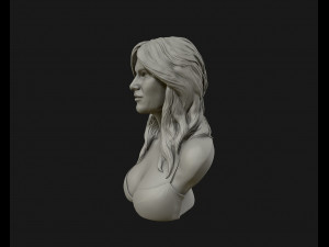 melania trump 3d bust sculpture 3d print model 3Dプリントモデル