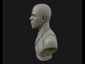 drake sculpture ready to print 3d print model 3D Baskı Modeli