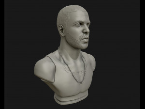 drake sculpture ready to print 3d print model 3D Baskı Modeli