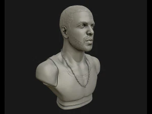 drake sculpture ready to print 3d print model 3D Print Model