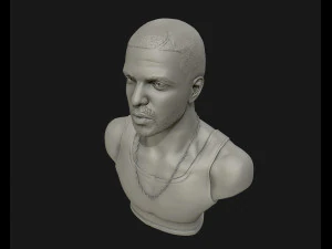 drake sculpture ready to print 3d print model 3D Print Model