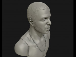 drake sculpture ready to print 3d print model 3D Baskı Modeli