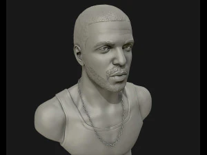 drake sculpture ready to print 3d print model 3D Print Model