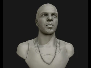 drake sculpture ready to print 3d print model 3D Print Model