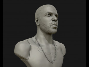 drake sculpture ready to print 3d print model 3D Baskı Modeli