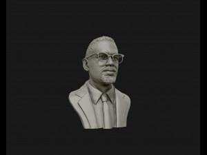 portrait sculpture of malcolm x ready to 3d print 3d print model 3D-printmodel