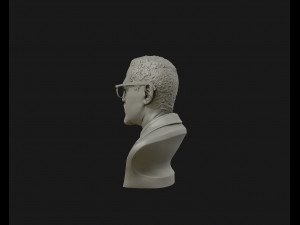 portrait sculpture of malcolm x ready to 3d print 3d print model Model do druku 3D