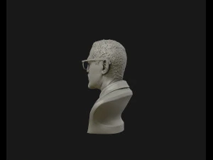 portrait sculpture of malcolm x ready to 3d print 3d print model 3D Print Model