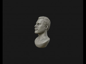 freddie mercury 3d printable portrait 3d print model 3D Print Model