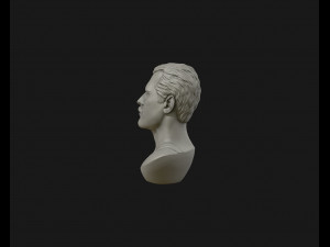 freddie mercury 3d printable portrait 3d print model 3D Print Model