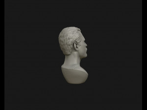freddie mercury 3d printable portrait 3d print model 3D Print Model