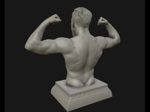 conor mcgregor 3d sculpture ready to 3d print 3d print model 3D Print Model