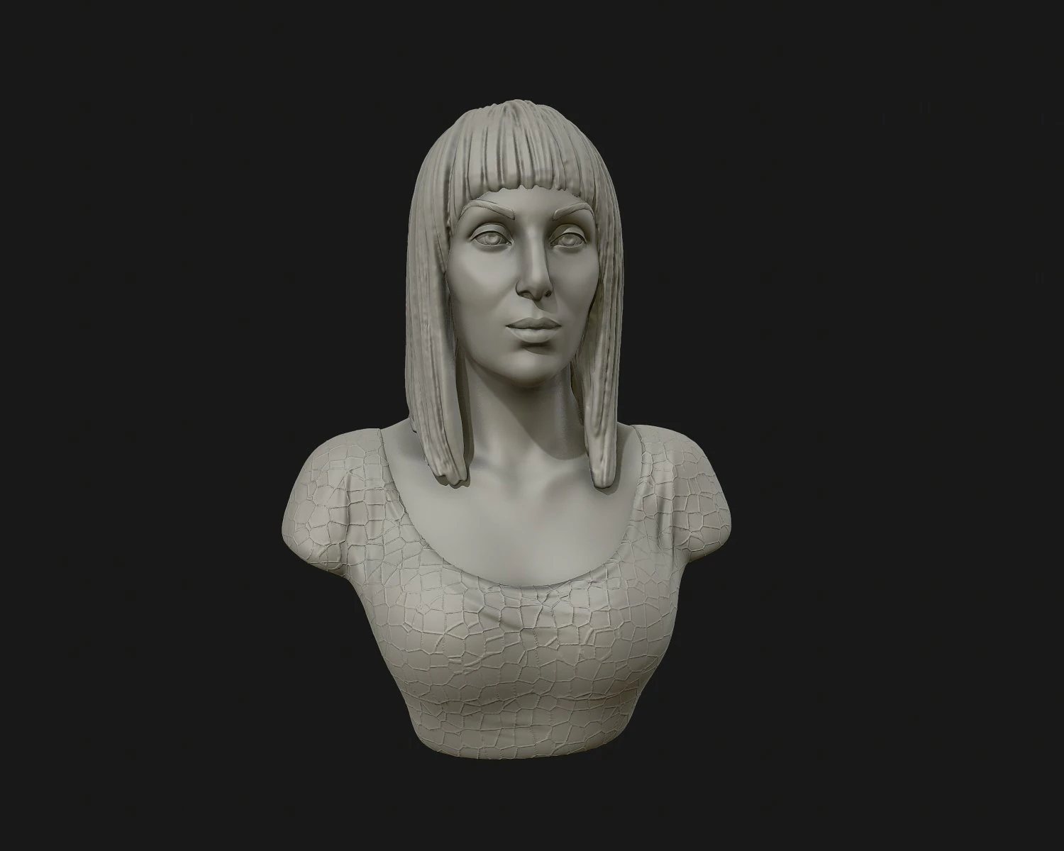 cher portrait sculpture ready to 3d print 3d print model 3D Print Model .c4d .max .obj .3ds .fbx .stl .blend 