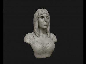 cher portrait sculpture ready to 3d print 3d print model 3D Print Model