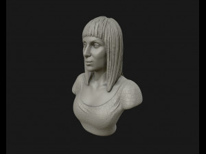 cher portrait sculpture ready to 3d print 3d print model 3D Print Model