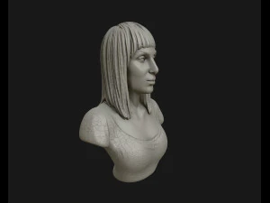 cher portrait sculpture ready to 3d print 3d print model 3D Print Model