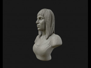 cher portrait sculpture ready to 3d print 3d print model 3D Print Model