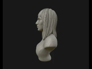 cher portrait sculpture ready to 3d print 3d print model 3D Print Model