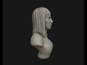 cher portrait sculpture ready to 3d print 3d print model 3D Print Model