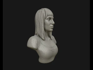 cher portrait sculpture ready to 3d print 3d print model 3D Print Model