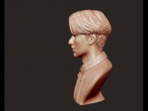 lee min ho 3d portrait model 3D Baskı Modeli