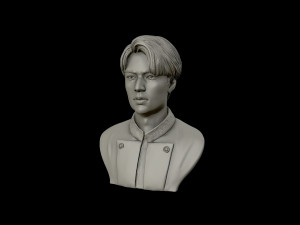 lee min ho 3d portrait model 3D Baskı Modeli