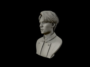 lee min ho 3d portrait model 3D Baskı Modeli