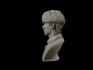 lee min ho 3d portrait model 3D Print Model