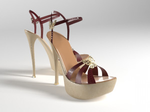 shoes 3D Model