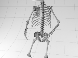 child skeleton Modello 3D