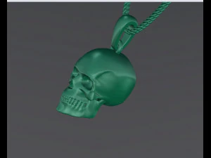 schedelring 3D printmodel