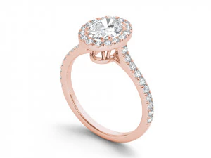 Engagement ring with all details of 23 Cad files 3D Print Model