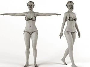 female bikini 3D Model