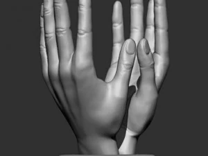 hand face statue 3D Model
