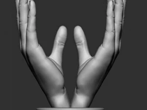 hand face statue 3D Model