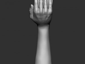 hand hearth statue 3D Model