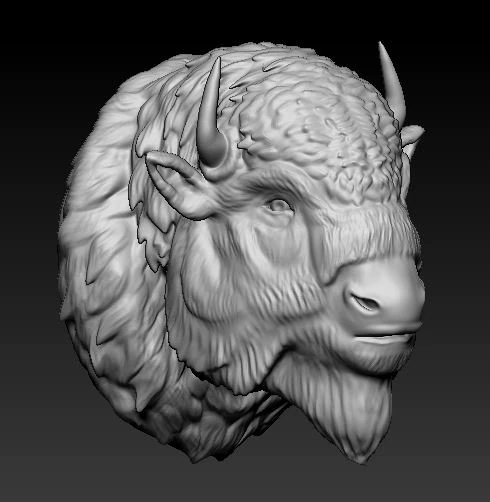 bufalo american bison 3D Model .c4d .max .obj .3ds .fbx .stl .blend 
