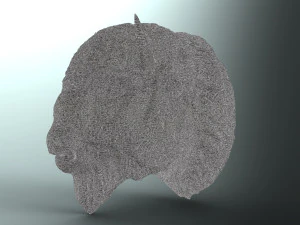 bufalo american bison 3D Model