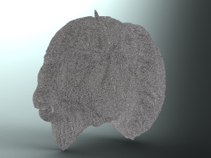 bufallo 3D Model