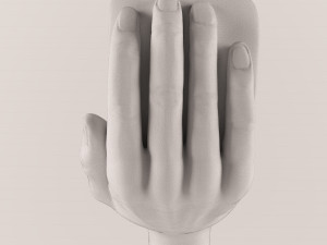 golden handheart-42 3D Modell
