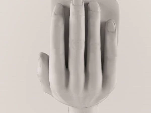 golden handheart-42 3D Model