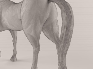 wooden horse-43 Model 3D