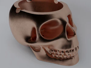 skull-bronz-smoke-44 3D Model
