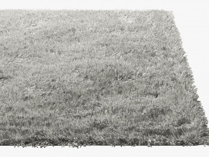 carpets with long pile Modèle 3D
