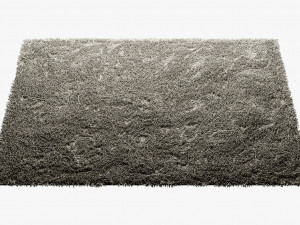 carpets with long pile Modèle 3D