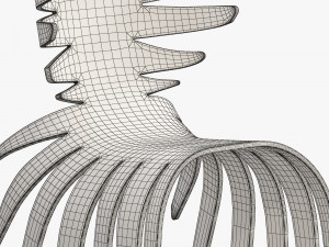 antonio pio saracino cervo chair model 3Dモデル
