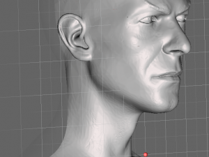 David bowie jareth the goblin king head without hair from labyrinth 3Dプリントモデル