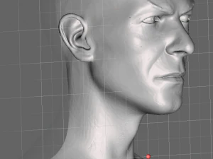 David bowie jareth the goblin king head without hair from labyrinth 3D Print Model