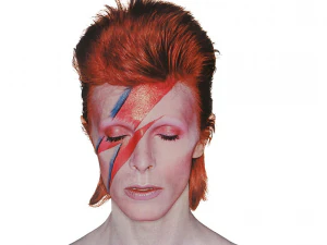 Busto ispirato a David Bowie e Aladdin sano di mente Modello di stampa 3D