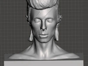 david bowie aladdin sane inspired bust 3D Print Model
